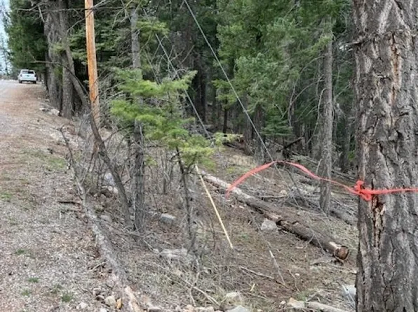 Sugar Pine Dr, Cloudcroft, NM 88317