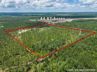 0 Big Horse Creek Rd, Jacksonville, GA 31544