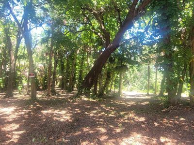 2403 Mashie Ct, Melbourne, FL, 32901