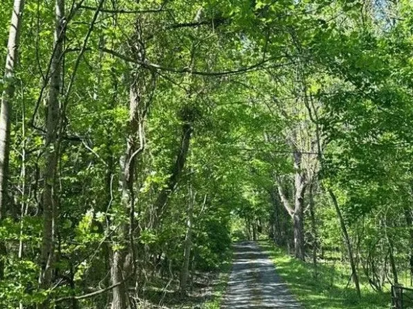 2447 Denton Valley Rd, Bristol, TN 37620