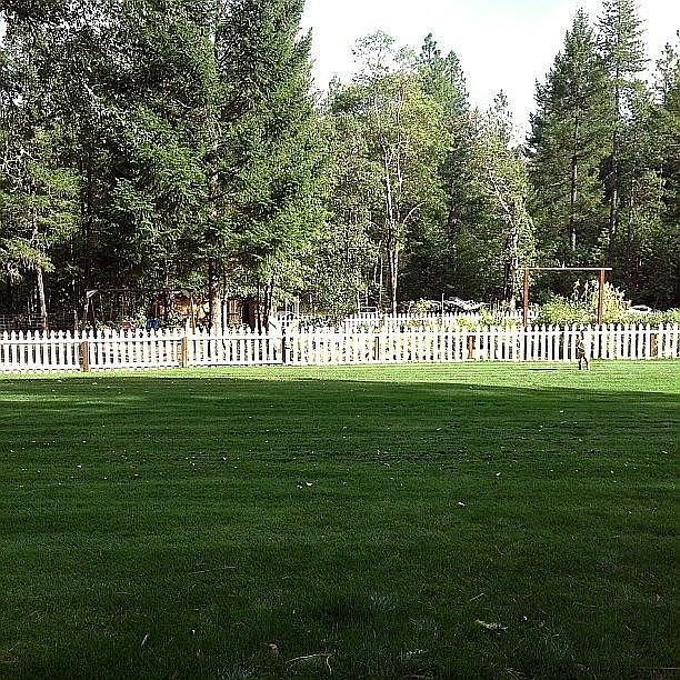 2nd image of 327 Pine Tree Way