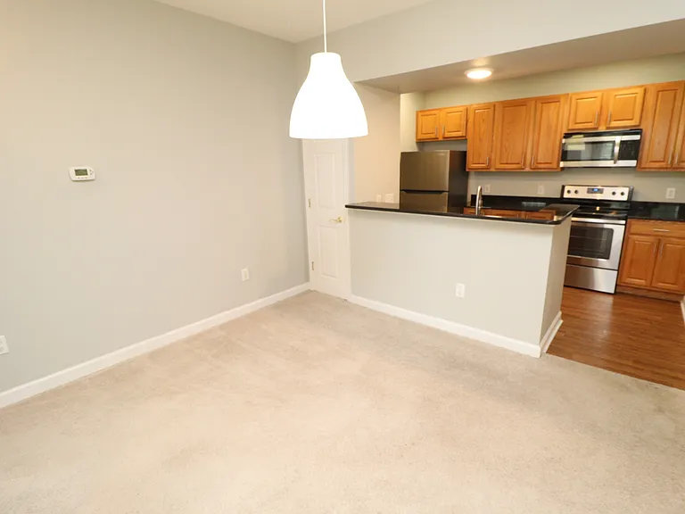 223 Eyam Hall Ln — Photo 8