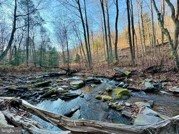 Spring Lick Rd, Swanton, MD 21561