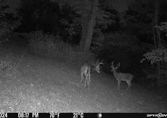 101st image of this home