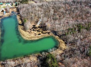 14219 W Townline Rd, Saint Charles, MI 48655