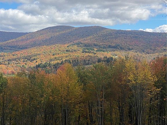 2nd image of 535 Babbling Brook Rd