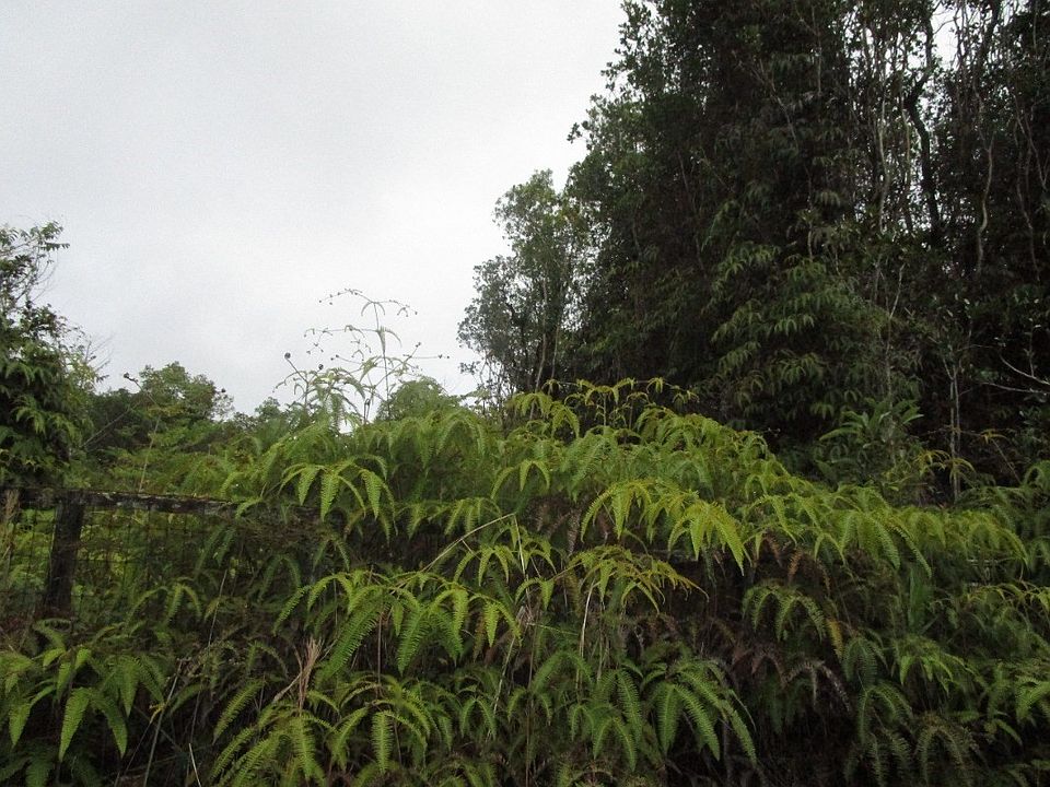 2nd image of Maui St Lot 4
