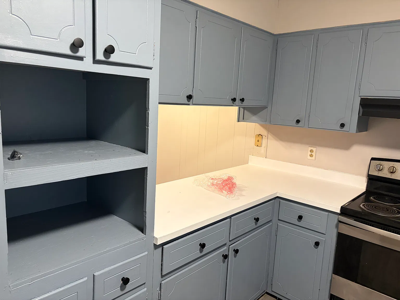 3 bed, 1300 sqft, $1,575 — Photo 3