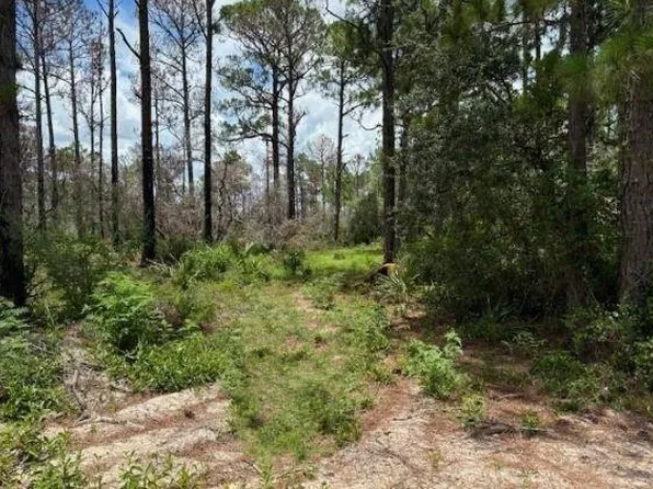 328 Claverton Drive, Lake Placid, FL 33852