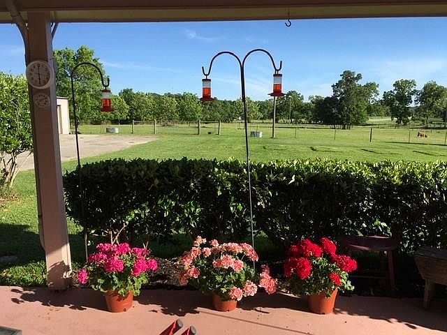 1st image of 33603 Pecan Hill Dr