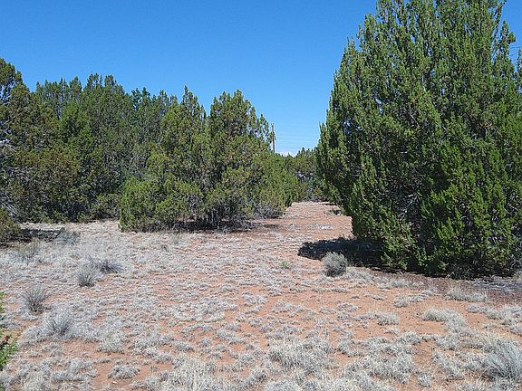 4th image of Concho Hwy Lot 3