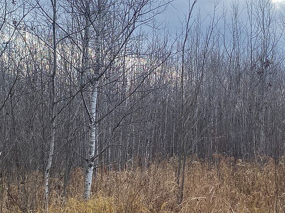 3rd image of Near Timber Road