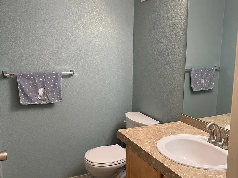 New toilets in both bathrooms