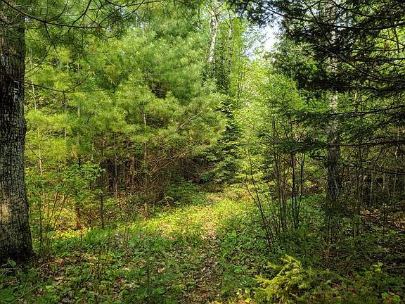 4th image of 1 Pixley Wilderness Shores Rd