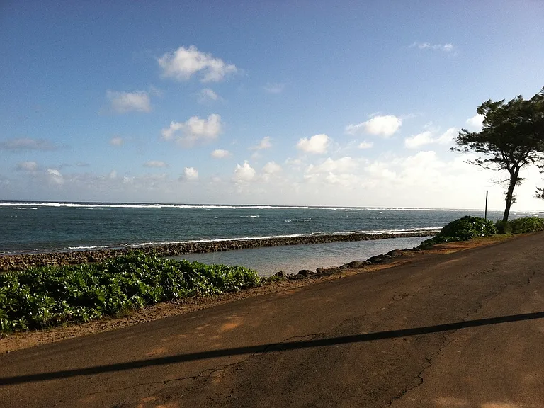 Kealoha Rd — Photo 8