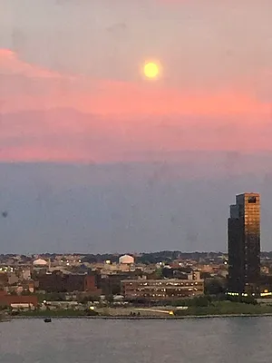 Rented by Oxford Property Group | media 80