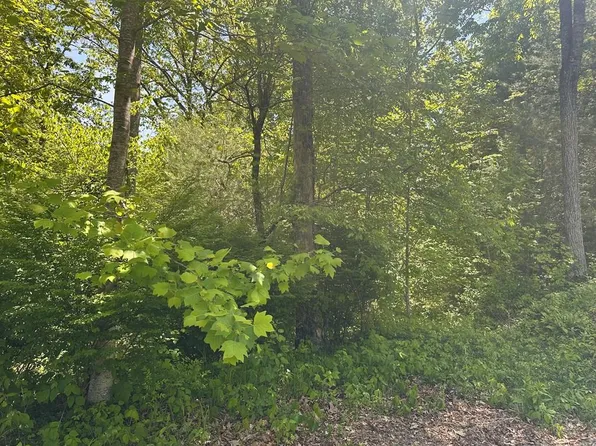 0 Lauren Ln, Franklin, NC 28734