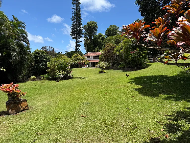 4388 Kanaele Rd #2 — Photo 4