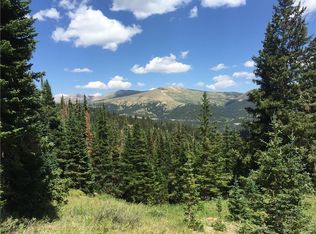 430 Pyrite Pl, Alma, CO 80420