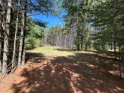 Ridgewood Rd, Grand Rapids, MN, 55744