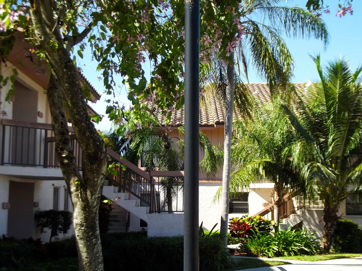 3355 — Photo 3