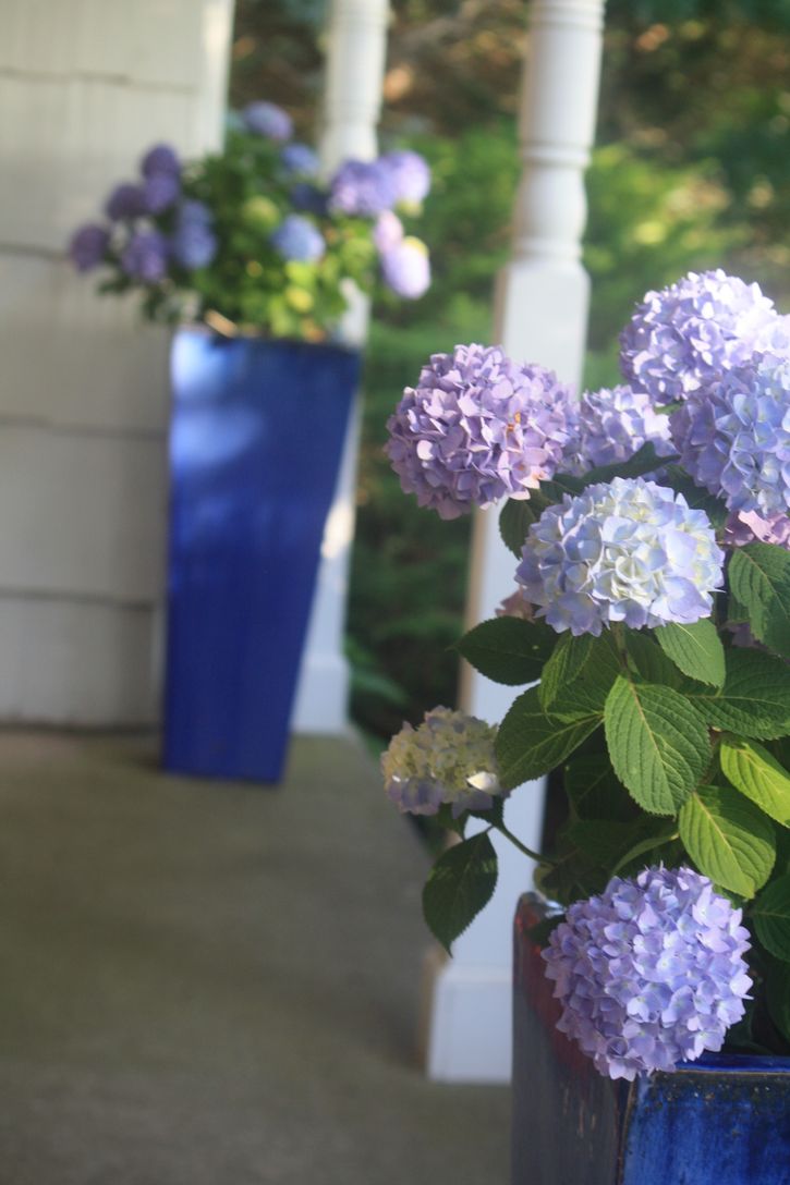  Front Porch - Enjoy Sunrises with Coffee on the Front Porch & Watch the Tractors go by...