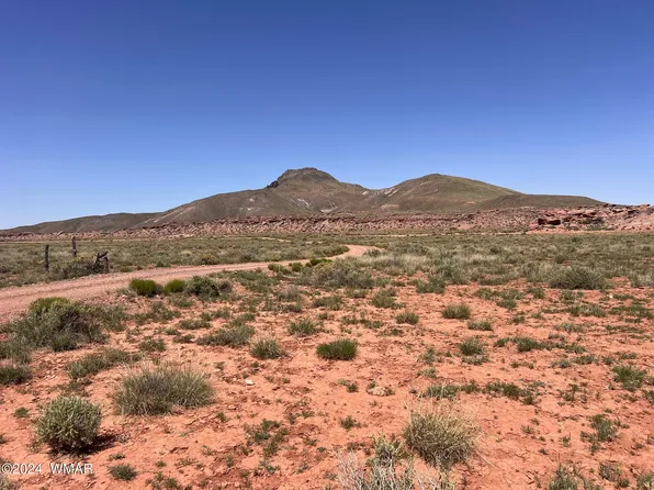 0 Power Line Rd, Woodruff, AZ 85942
