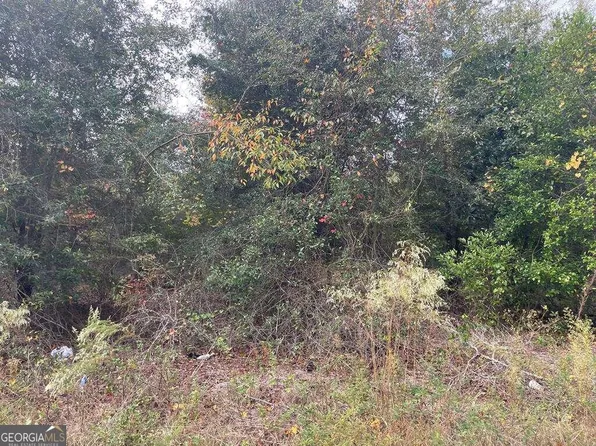 4AC College Ave, Reidsville, GA 30453