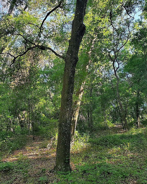 2nd image of Joslyn Ln