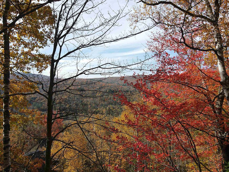 242 Coopers Trace UNIT 242, Plymouth, VT 05056 Zillow