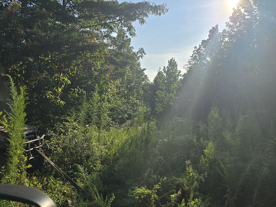 2nd image of 0 Buckfork Rd Lot 9