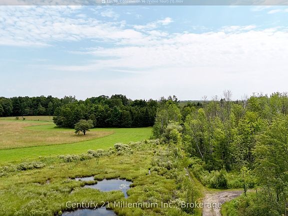 2nd image of LOT 16 Concession Rd