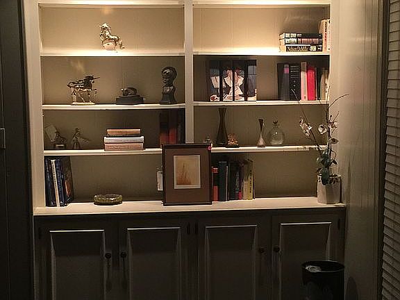 Lighted bookcase