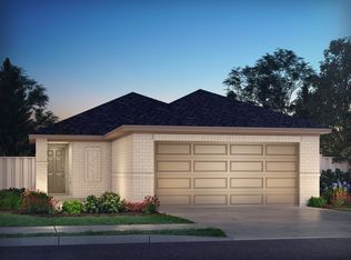 211 Shore Pointe Ct, Montgomery, TX 77316