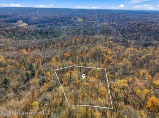 Ridge Rd, Newfoundland, PA 18445