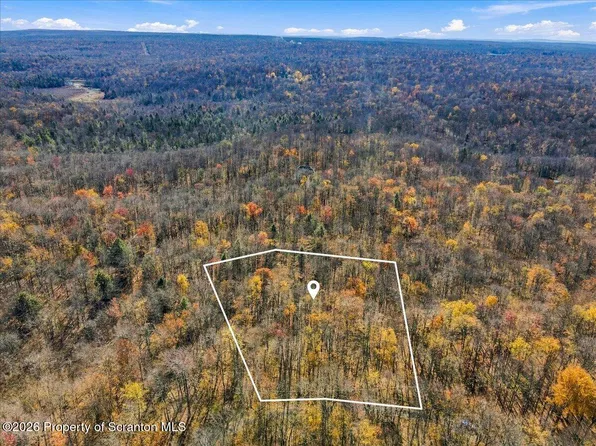 Ridge Rd, Newfoundland, PA 18445