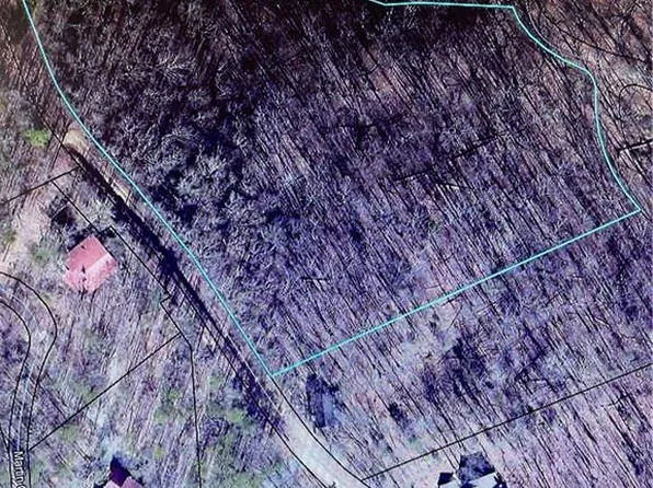 0 Allgood Rd, Cherry Log, GA 30522
