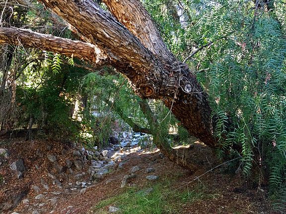 Teeny creek by side of condo separates your home from the next unit over.