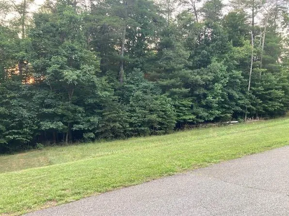 28 Freedom Ln, Wirtz, VA 24184