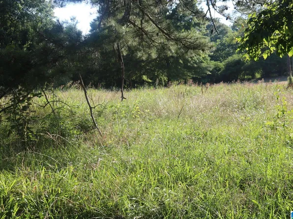174 Poplar Springs Dr #1-2-3, Mulga, AL 35118