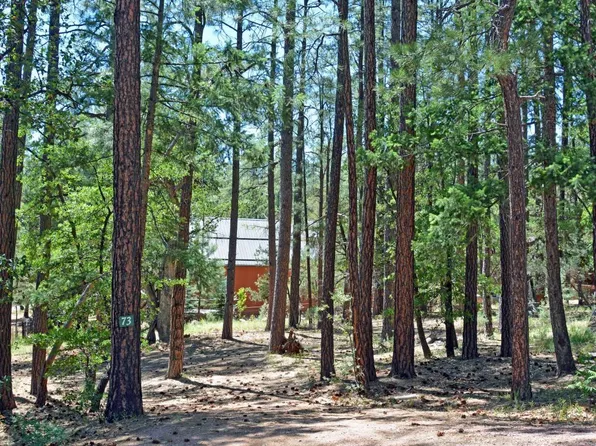 430 N Meadow Way, Payson, AZ 85541