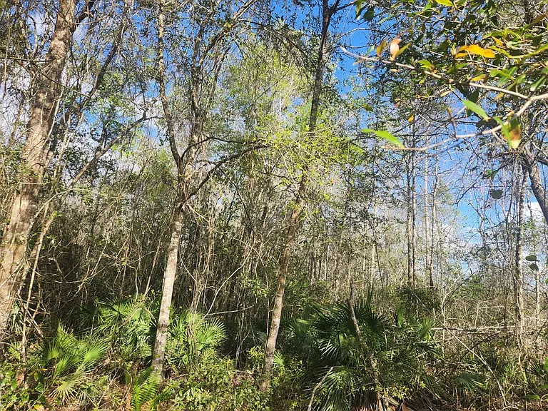 2355 SE State Road 100 — Photo 27