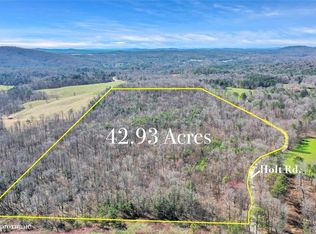 0 Holt Rd, Ellijay, GA 30536