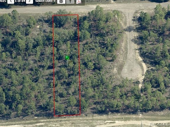 4th image of 1142 W Riley Dr