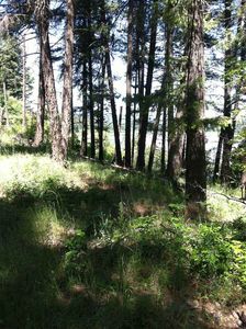 41502 N Perry Rd, Spokane, WA, 99006