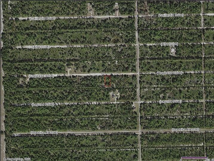 2nd image of 1011 W Tropicana Ct