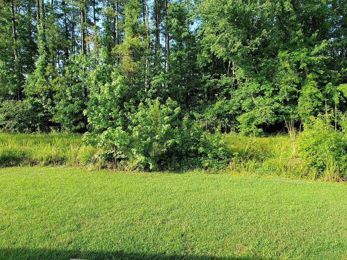 Richard Ct, New Bern — Photo 4