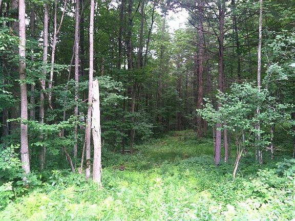 3rd image of 163 Woodstream Ln