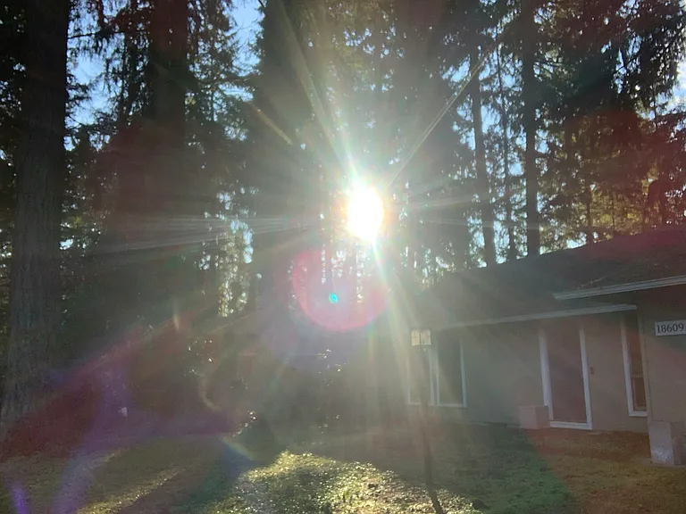Front Yard, Neighborhood