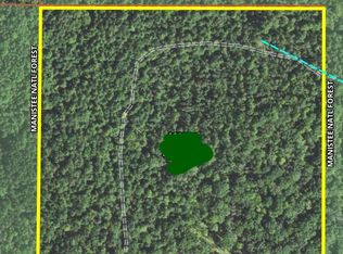 V/l Rd #1, Harrietta, MI 49638